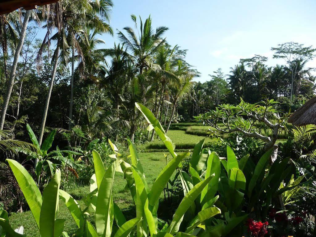 Umajati Retreat Villa Ubud Eksteriør bilde