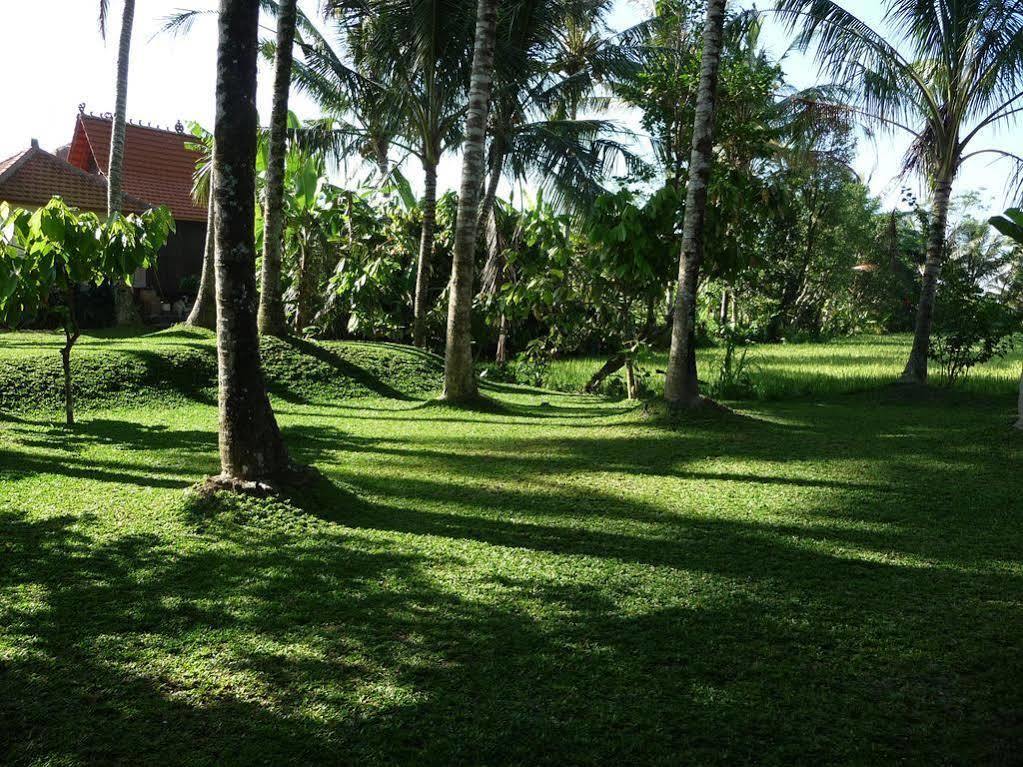Umajati Retreat Villa Ubud Eksteriør bilde